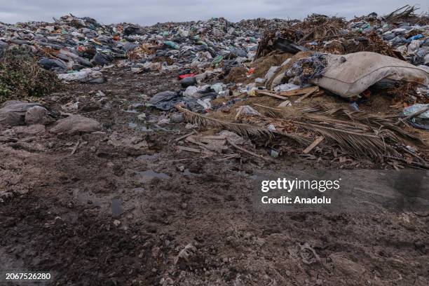 The liquids resulting from the decomposition begin to flow to the surface and waters of the adjacent lagoon, as the vapors and odors of the place...