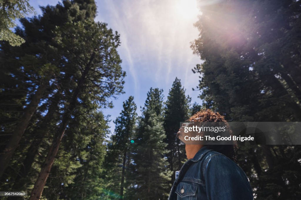 Low angle view of young man standing under sunlight in forest
