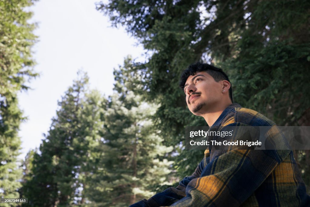 Low angle view of thoughtful young man looking away in forest