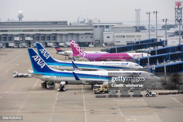 chubu centrair international airport in japan - all nippon airways stock pictures, royalty-free photos & images