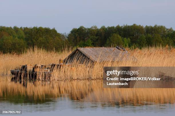 Reeds Life Raft Selfbuilt Raft In The Reeds Alternative Lifestyle Hippie Mueritz ...