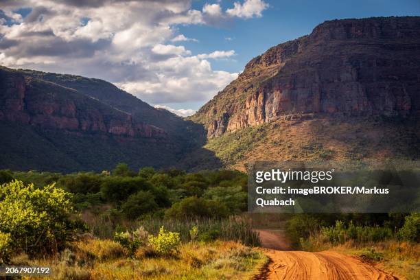a dirt road leads through a picturesque mountain landscape with lush vegetation under a partly cloudy sky, limpopo, south africa, africa - provinsen limpopo bildbanksfoton och bilder