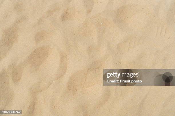 a close-up of sandy whispers - zand stockfoto's en -beelden