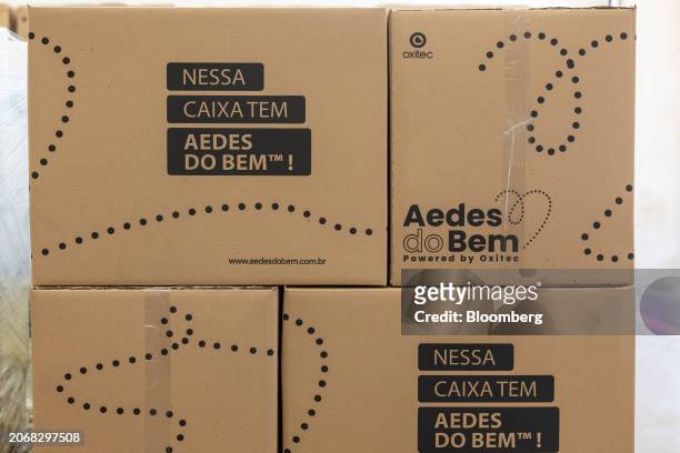Packaged boxes containing kits with genetically modified Aedes aegypti mosquitos at the Oxitec facilities in Campinas, Sao Paulo state, Brazil, on...