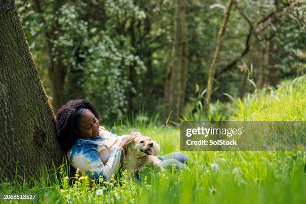relaxing with her dog - patterdale stock pictures, royalty-free photos & images