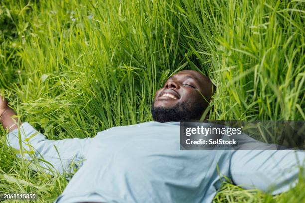 laying down in the grass - human arm stock pictures, royalty-free photos & images