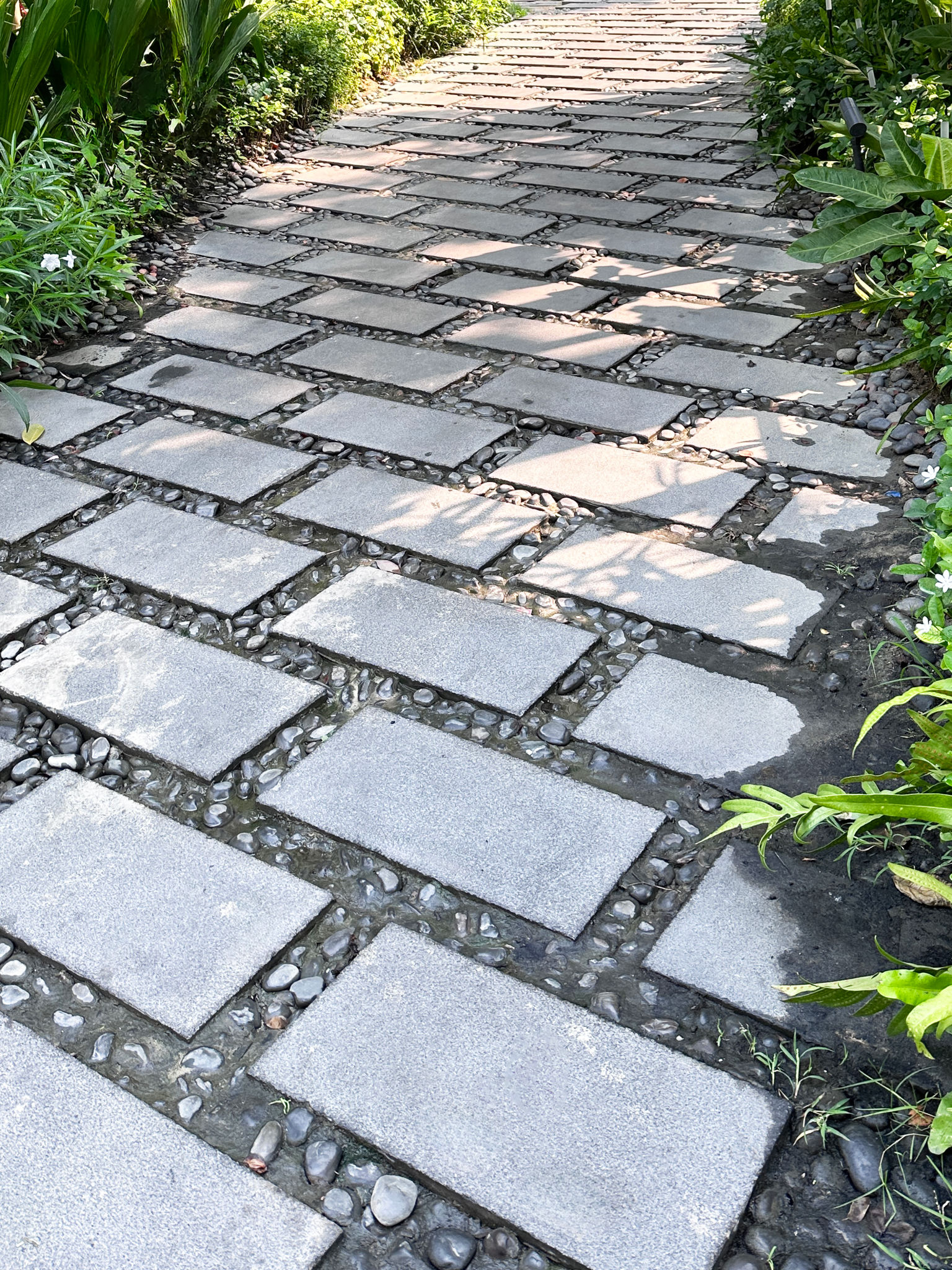 Image of hardscaped public gardens with grey, rectangular paving stone footpath lined by flowerbeds, plants and shrubs, dappled light, focus on foreground Image of hardscaped public gardens with grey, rectangular paving stone footpath lined by flowerbeds, plants and shrubs, dappled light, focus on foreground