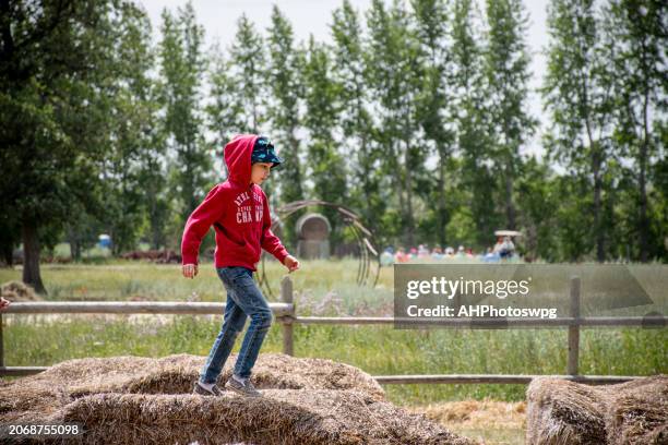 boundless adventure: young boy leaping across hay bales - hooi stockfoto's en -beelden