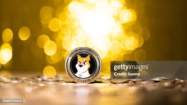 shiba inu cryptocurrency on shiny background - shiba inu lights 個照片及圖片檔