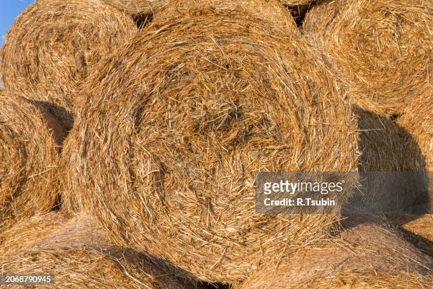 piled hay bales on a field against blue sky - stubble texture stock pictures, royalty-free photos & images