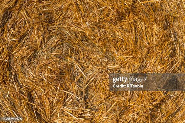 piled hay bales on a field against blue sky - stubble texture stock pictures, royalty-free photos & images