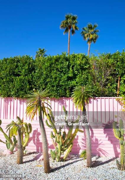 pretty cactus garden - palm springs imagens e fotografias de stock