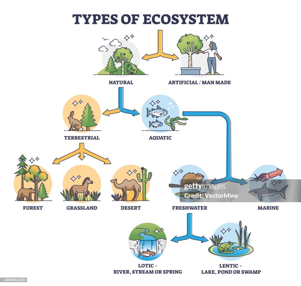 Types of ecosystem with natural and artificial division outline diagram