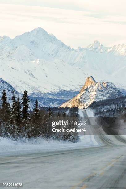 testa di leone nell'alaska interna - foresta nazionale di chugach foto e immagini stock