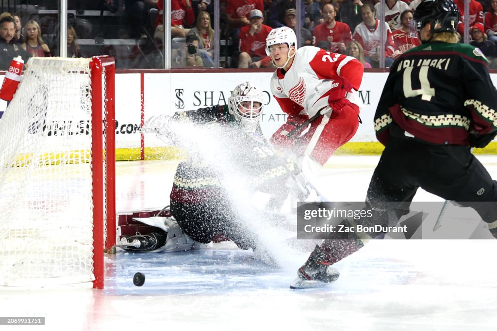 Detroit Red Wings v Arizona Coyotes