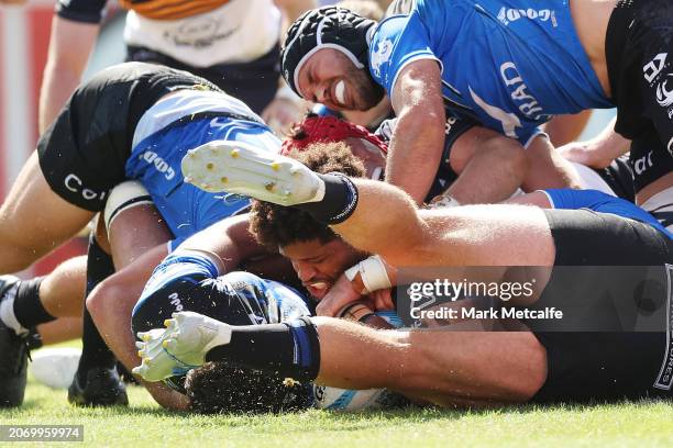 Rob Valetini Valetini Photos and Premium High Res Pictures - Getty Images