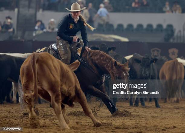 Cromer Ridge Riding Area 4,650 Cromer Stock Photos, High-Res Pictures, and Images - Getty Images
