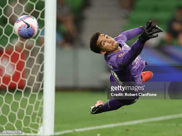 Phoenix goalkeeper Alexander Paulsen makes a save during the A-League Men round 20 match between Melbourne City and Wellington Phoenix at AAMI Park,...