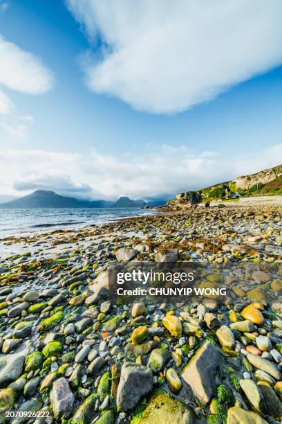 elgol and loch corusk coastal landscapes - meadow brook stock pictures, royalty-free photos & images