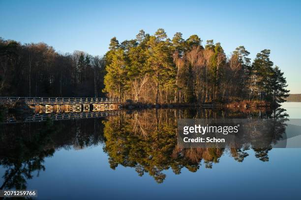 bridge to an island in a lake in evening sun in spring - vaxjo stock pictures, royalty-free photos & images