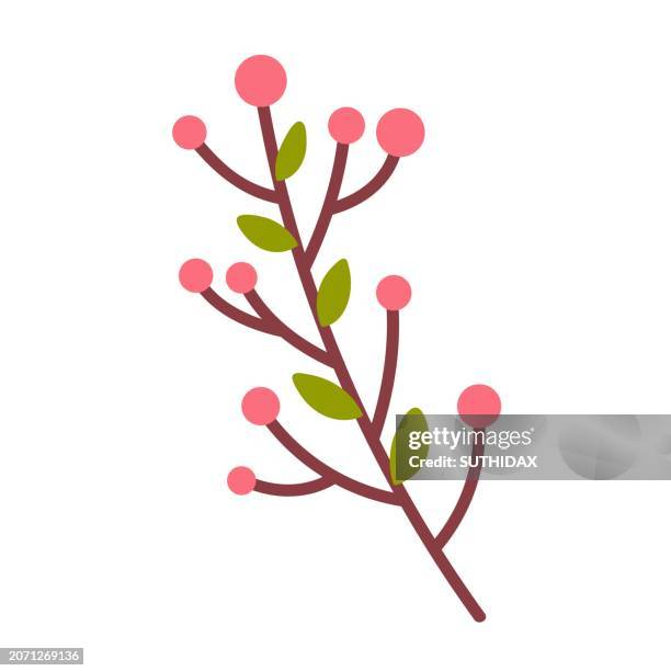 illustration of leaf type thirteen - hydrangea stock illustrations