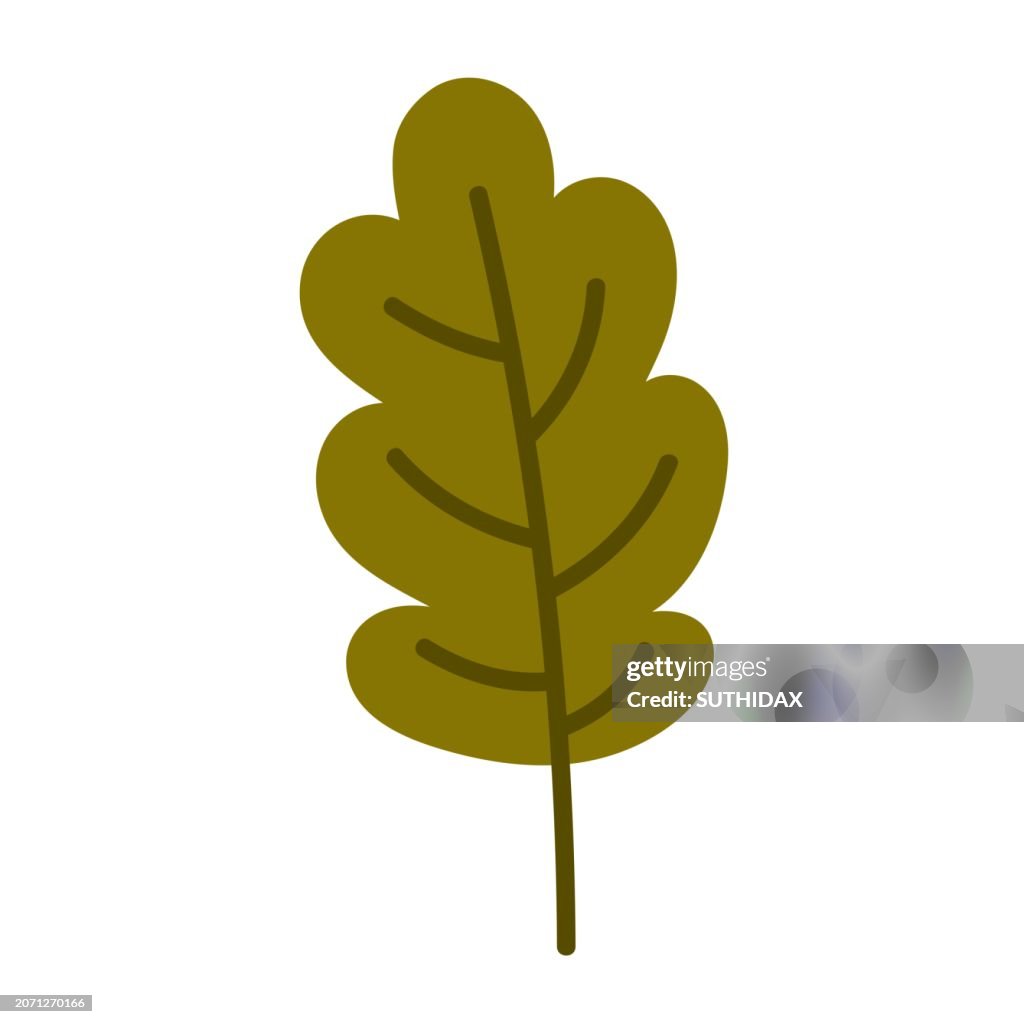 Illustration of leaf type seventeen