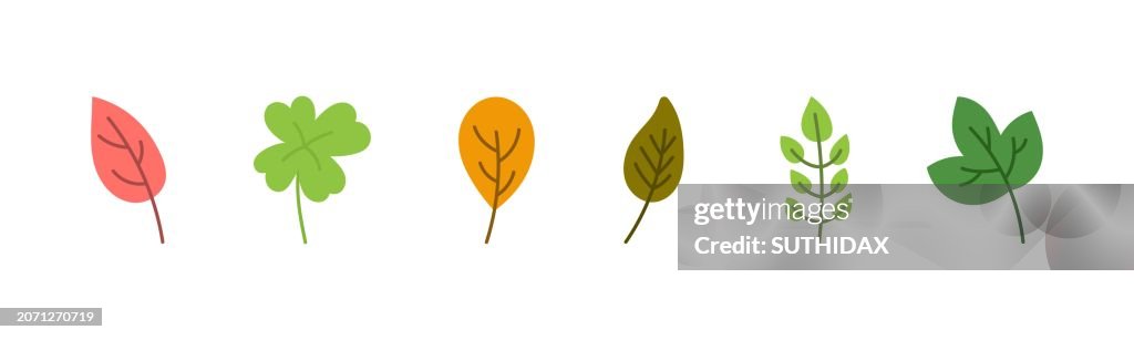 Six different types of leaf illustrations type one