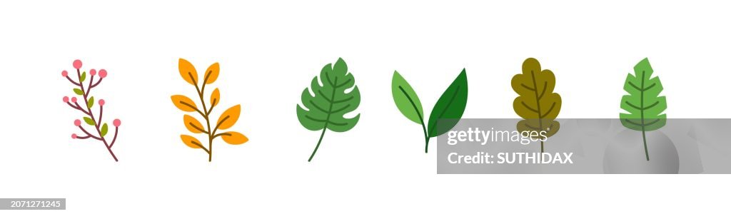 Six different types of leaf illustrations type three.