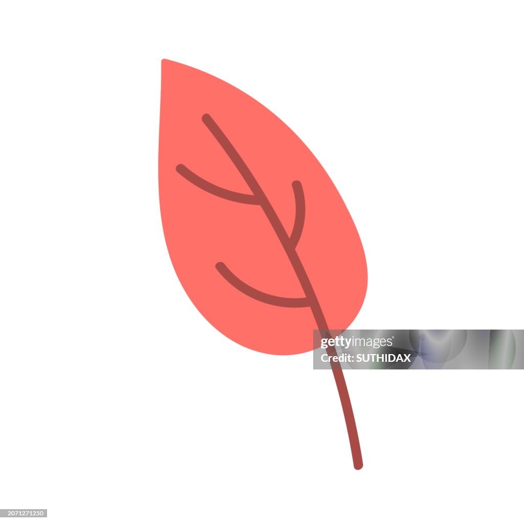 Illustration of leaf type one
