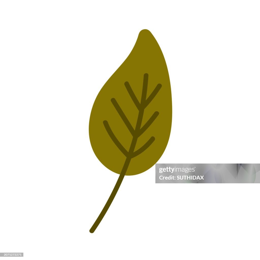 Illustration of leaf type four