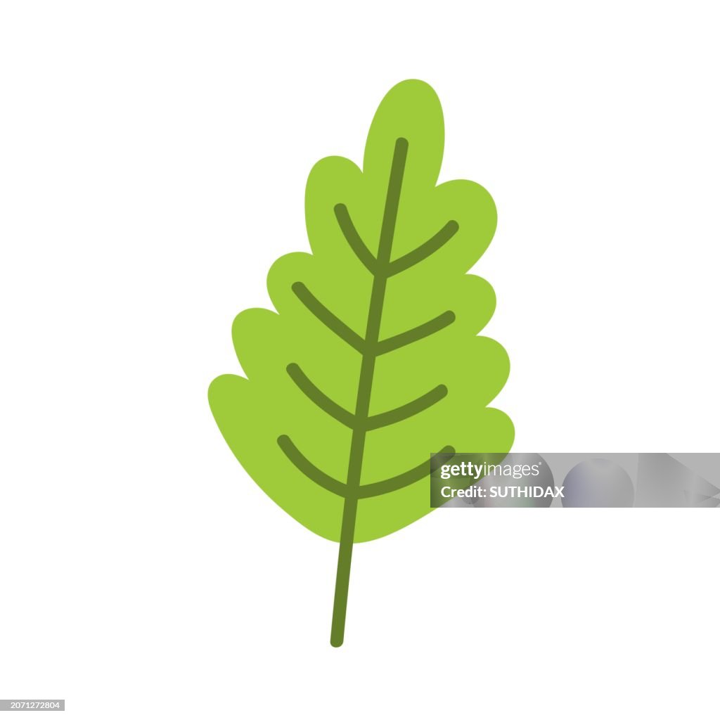 Illustration of leaf type nine