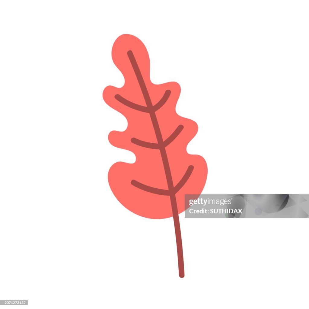Illustration of leaf type ten