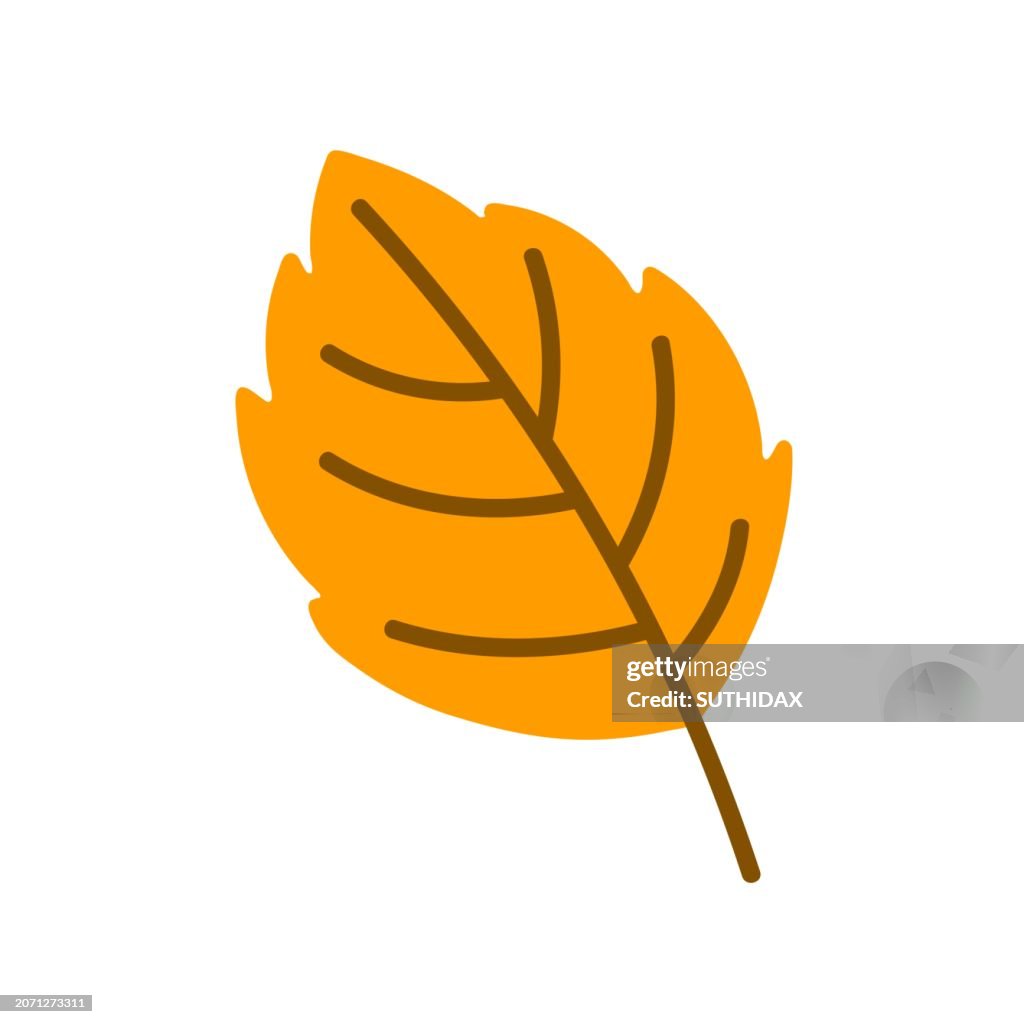 Illustration of leaf type eleven