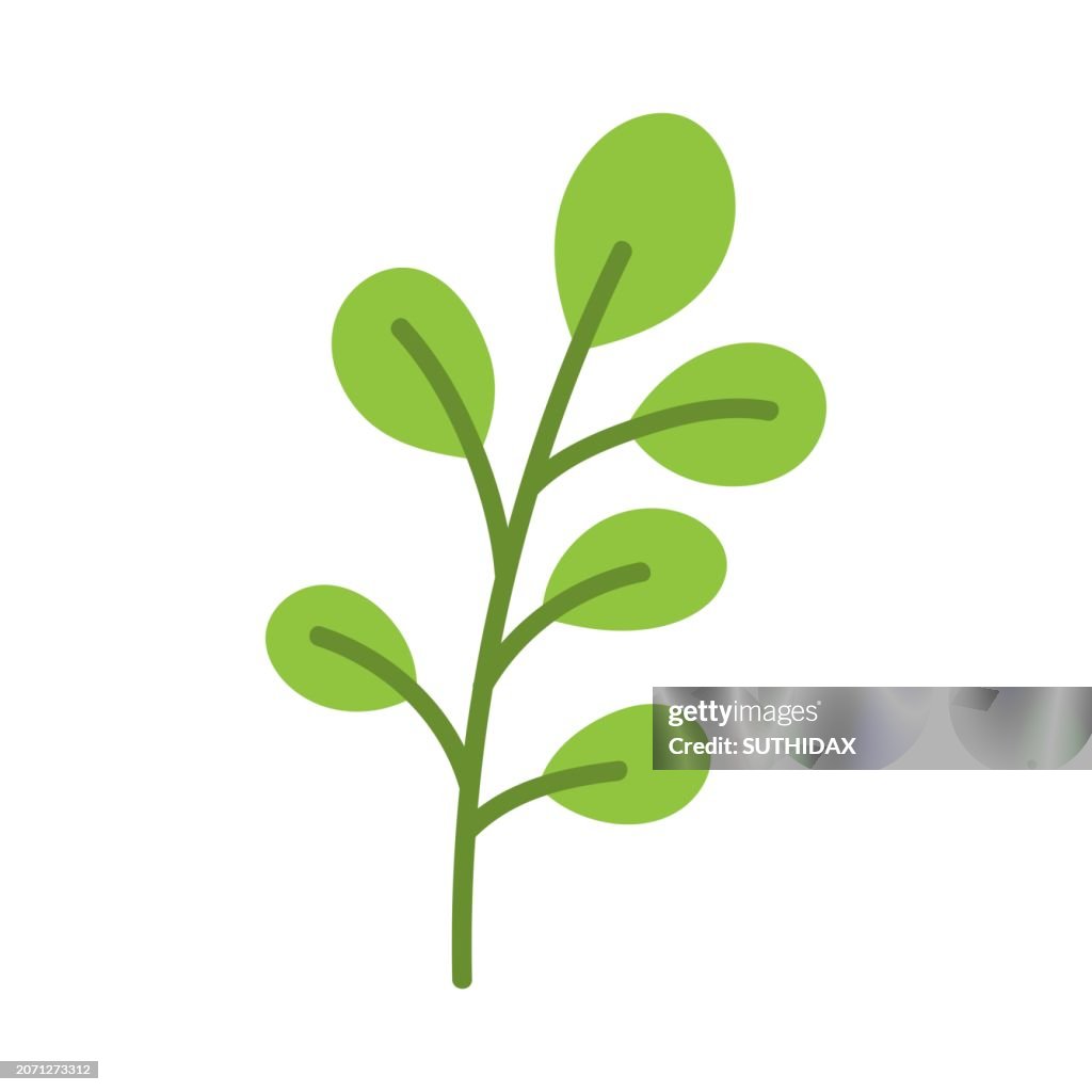 Illustration of leaf type twelv