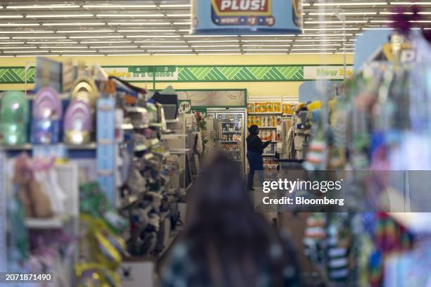 Shopper inside a Dollar Tree store in Kingston, New York, US, on Friday, Feb. 16, 2024. Dollar Tree Inc. Is scheduled to release earnings figures on...