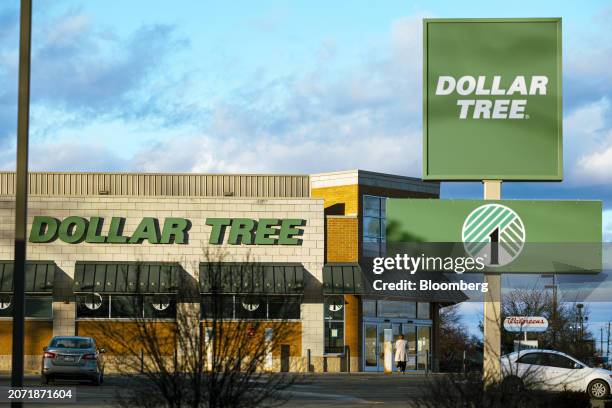 Dollar Tree store in Hudson, New York, US, on Friday, Feb. 16, 2024. Dollar Tree Inc. Is scheduled to release earnings figures on March 13....