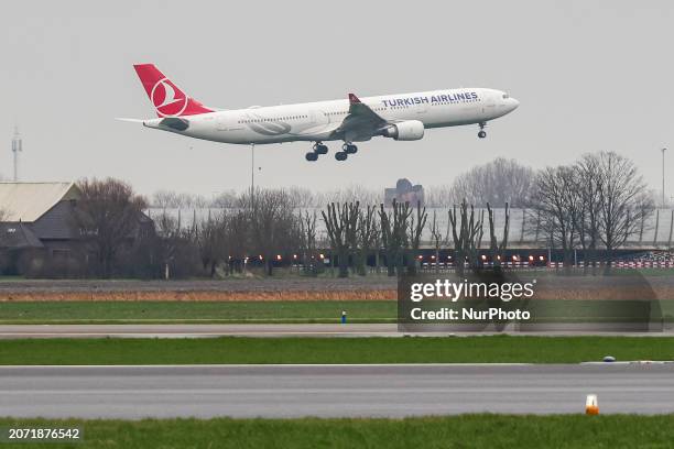 Turkish Airlines Airbus A330-300 passenger aircraft spotted flying on final approach before landing at Amsterdam Schiphol AMS EHAM airport. The wide...