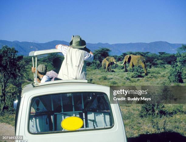 American tourists on photo safari approach a small herd of elephants in Samburu National Reserve in Kenya, East Africa, 2000. .