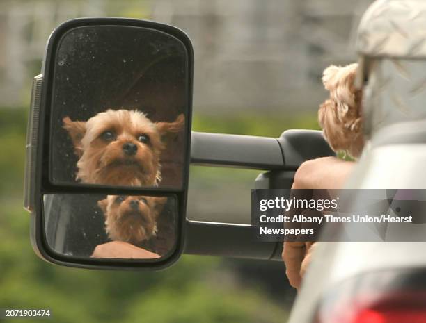 Dog is seen in the side view mirror of a truck on Rt. 146 on a beautiful day Thursday, June 8, 2018 in Clifton Park, N.Y.