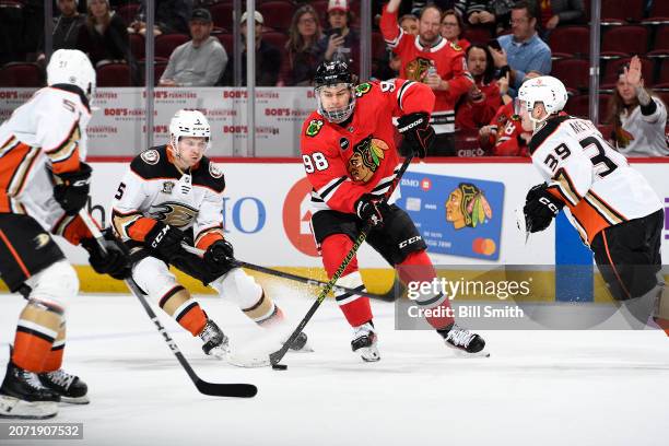 Connor Bedard of the Chicago Blackhawks carries the puck between Anaheim Ducks players during the third period at the United Center on March 12, 2024...