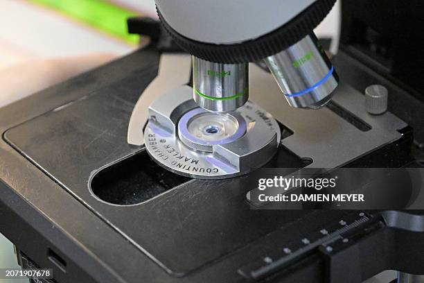 357 Microscope Sperm Stock Photos, High-Res Pictures, and Images ...