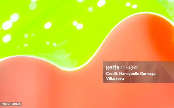 abstract image of  a calla leaf - mississauga stock pictures, royalty-free photos & images