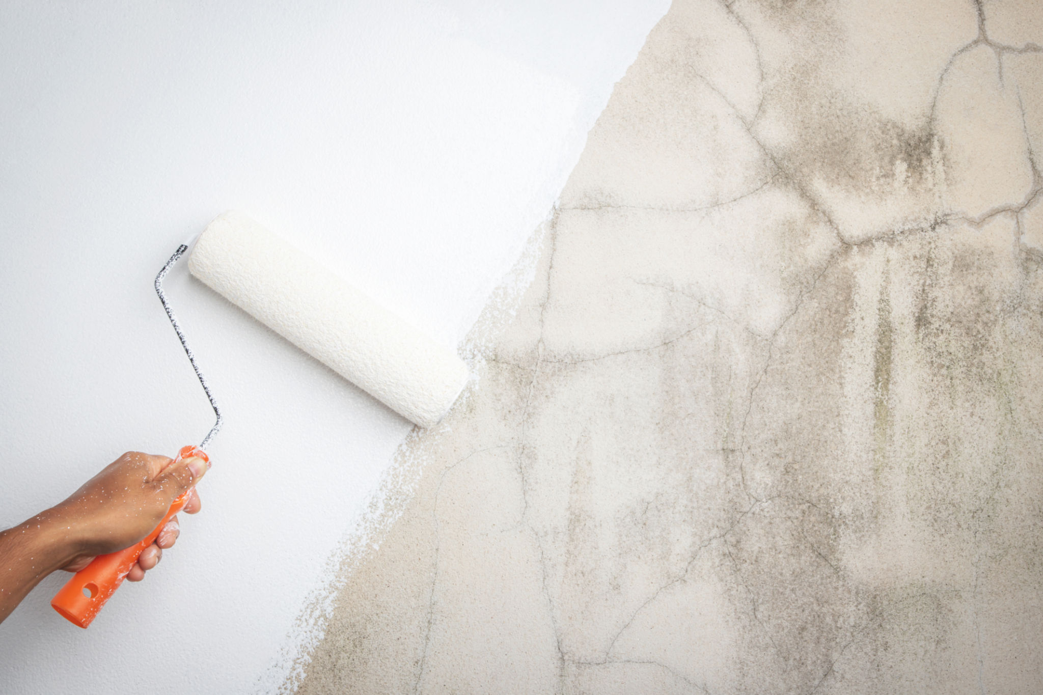 paint roller