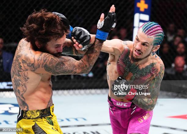 Sean O'Malley punches Marlon Vera of Ecuador in the UFC bantamweight championship fight during the UFC 299 event at Kaseya Center on March 09, 2024...