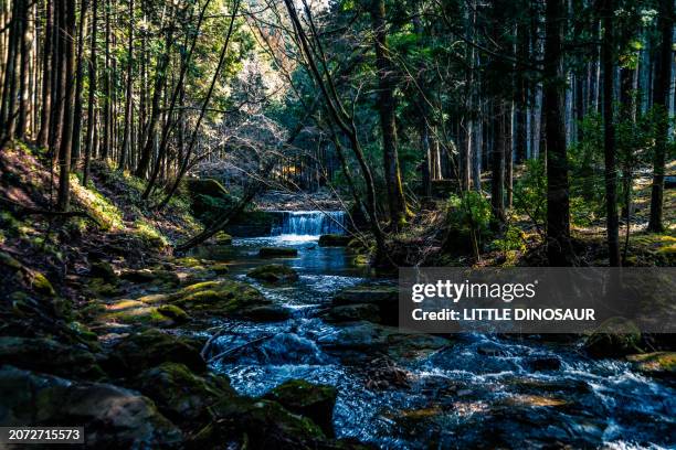 Running Stream Views 4,208 Run (Stream) Stock Photos, High-Res Pictures, and Images - Getty ...