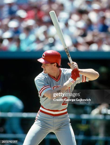 Paul O'Neill of the Cincinnati Reds bats against the Pittsburgh Pirates during a Major League Baseball game at Three Rivers Stadium in 1988 in...