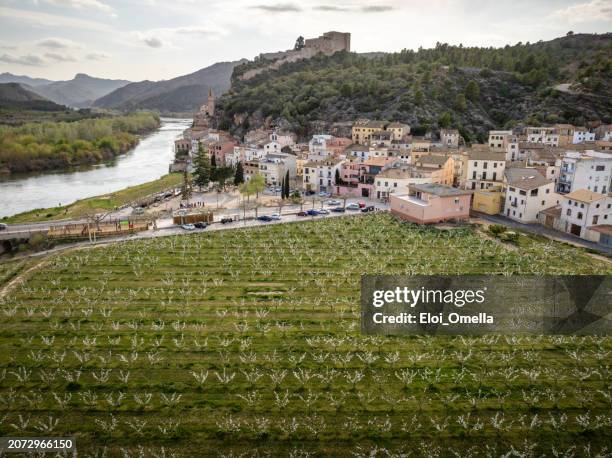 aerial view of the village of miravet at the ebro river in tarragona in spring, catalonia. spain - tarragona province stock pictures, royalty-free photos & images