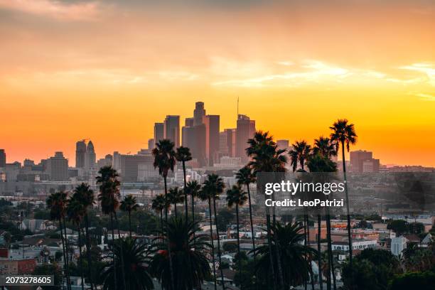 los angeles sunset - hollywood los angeles stock pictures, royalty-free photos & images