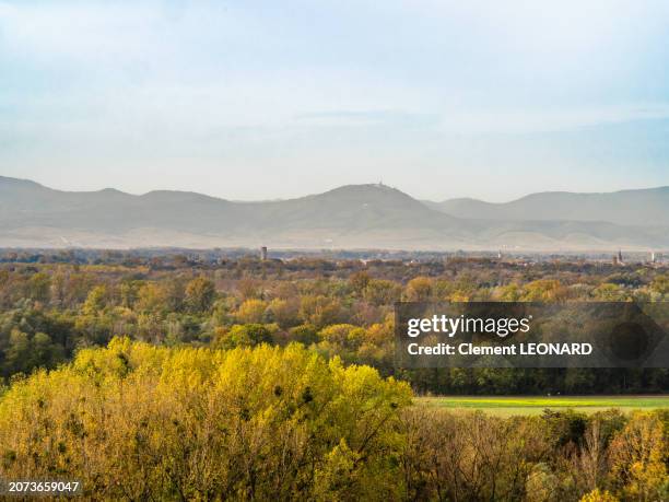 distant view of the vineyards and plain of alsace, the vosges mountains and the château du haut-koenigsbourg (haut königsbourg castle - haut koenigsbourg) with colorful trees in autumn as seen from the kaiserstuhl - baden-württemberg - germany. - limites du terrain - fotografias e filmes do acervo