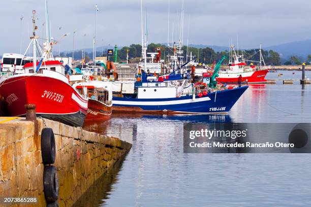 fishing boats mooring, o grove fishing harbor, galicia, spain. - ship imagens e fotografias de stock